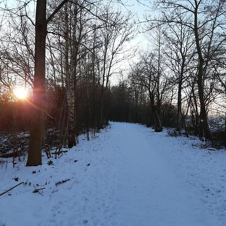 Vakantiehuis Aan Het Bos - Gelegen Aan De Tulpenroute Bant Exterior foto