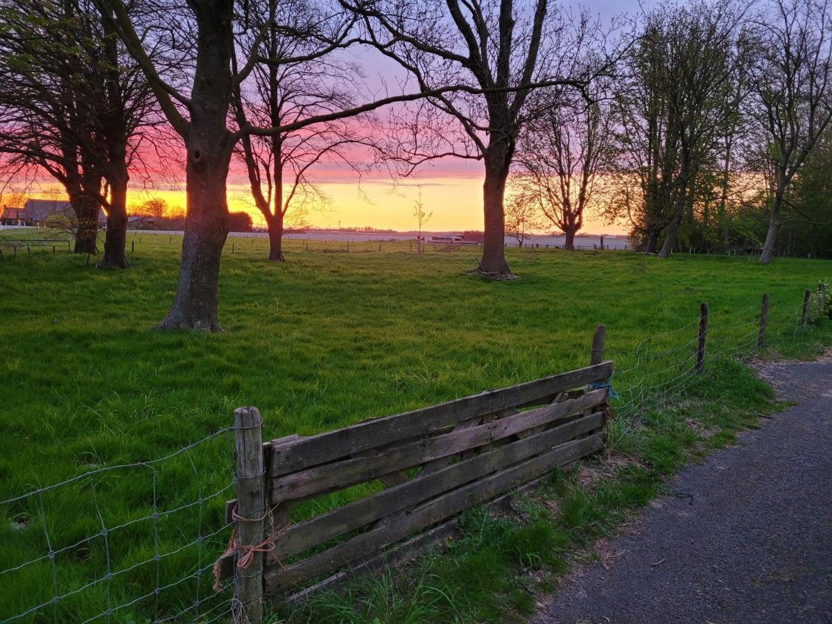 Vakantiehuis Aan Het Bos - Gelegen Aan De Tulpenroute Bant Exterior foto